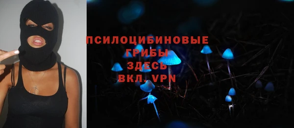 СК Бронницы