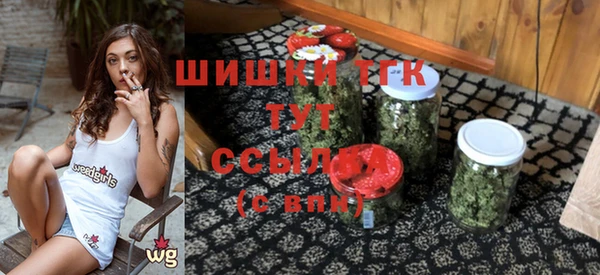 PSILOCYBIN Бугульма