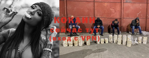 СК Бронницы