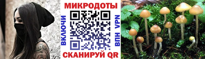 наркотики  МЕГА рабочий сайт  Псилоцибиновые грибы Psilocybe  Юрга 